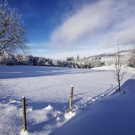 Auszeit, Erholung Mitten In Der Natur - Ferienhaus Im Sauerland In Faulebutter Finnentrop Exterior foto