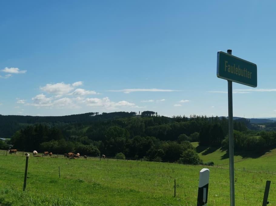 Auszeit, Erholung Mitten In Der Natur - Ferienhaus Im Sauerland In Faulebutter Finnentrop Exterior foto