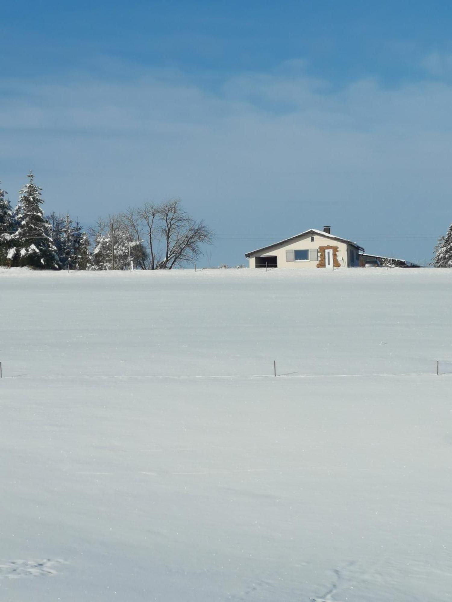 Auszeit, Erholung Mitten In Der Natur - Ferienhaus Im Sauerland In Faulebutter Finnentrop Exterior foto